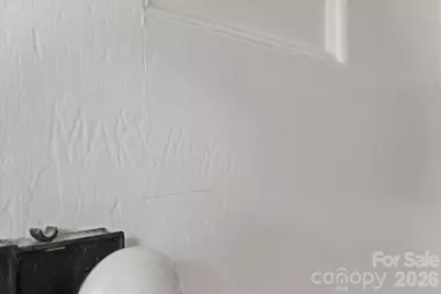 310 Kershaw Street, Cheraw, SC 29520 - Photo 41