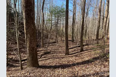 521 Timber Rock Drive #521, Lenoir, NC 28604 - Photo 9