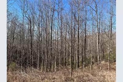 521 Timber Rock Drive #521, Lenoir, NC 28604 - Photo 5