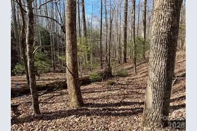 521 Timber Rock Drive #521, Lenoir, NC 28604 - Photo 7