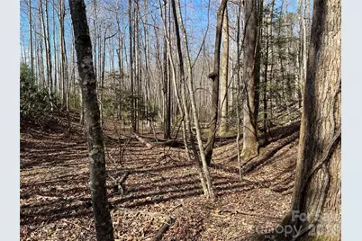 521 Timber Rock Drive #521, Lenoir, NC 28604 - Photo 11