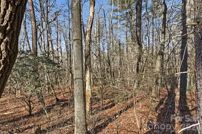 0 Three Forks Church Road, Taylorsville, NC 28681 - Photo 11