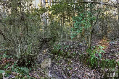 0 Three Forks Church Road, Taylorsville, NC 28681 - Photo 19