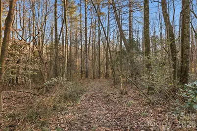 0 Three Forks Church Road, Taylorsville, NC 28681 - Photo 13