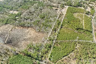 2431 Hwy 52 Hwy S, Cheraw, SC 29520 - Photo 3