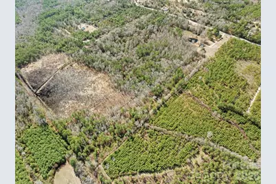 2431 Highway 52 Highway S, Cheraw, SC 29520 - Photo 9