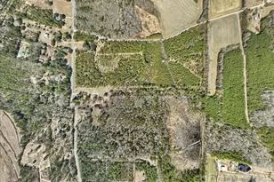 2431 Hwy 52 Hwy S, Cheraw, SC 29520 - Photo 13