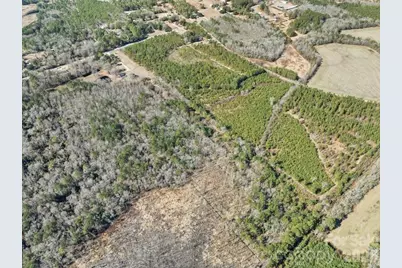 2431 Highway 52 Highway S, Cheraw, SC 29520 - Photo 11