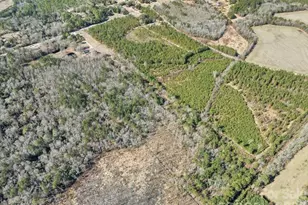 2431 Hwy 52 Hwy S, Cheraw, SC 29520 - Photo 11