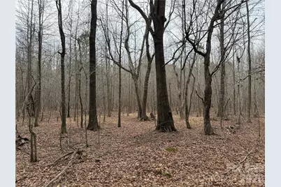 106 Legrand Road, Mount Gilead, NC 27306 - Photo 13