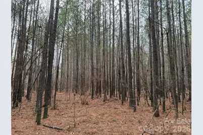 106 Legrand Road, Mount Gilead, NC 27306 - Photo 11