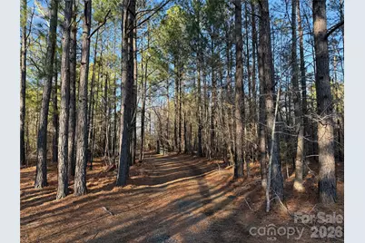 106 Legrand Road, Mount Gilead, NC 27306 - Photo 5