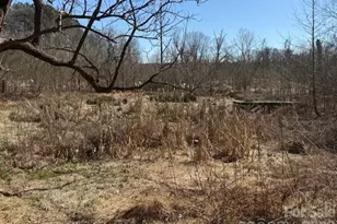 2041 Clyde St, Dallas, NC 28034 - Photo 43