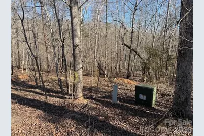 00 Valley Drive, Rutherfordton, NC 28139 - Photo 3