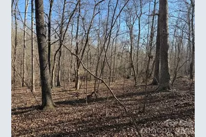 00 Valley Drive, Rutherfordton, NC 28139 - Photo 11