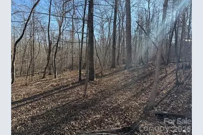 00 Valley Drive, Rutherfordton, NC 28139 - Photo 9