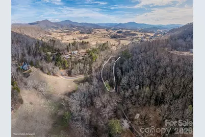 0 Coyote Hollow Road, Waynesville, NC 28785 - Photo 11