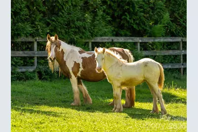 150 Rabbit Moffitt Road, Rutherfordton, NC 28139 - Photo 39