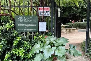 817 E 17th St, Charlotte, NC 28205 - Photo 21