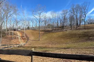 250 Burt Blackwell Rd, Mill Spring, NC 28756 - Photo 45