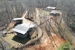 250 Burt Blackwell Rd, Mill Spring, NC 28756 - Photo 47