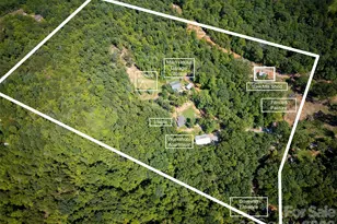 250 Burt Blackwell Rd, Mill Spring, NC 28756 - Photo 43