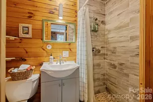 250 Burt Blackwell Rd, Mill Spring, NC 28756 - Photo 39