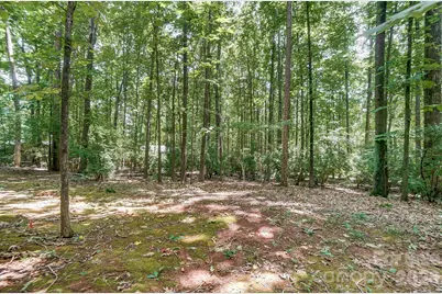 483 Sweetgum Drive, Fort Mill, SC 29715 - Photo 27