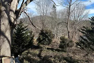 16 Mallory Ln, Arden, NC 28704 - Photo 21