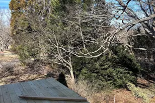 16 Mallory Ln, Arden, NC 28704 - Photo 21