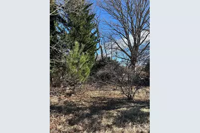 16 Mallory Lane, Arden, NC 28704 - Photo 33