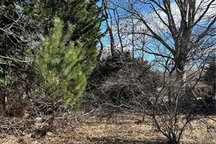 16 Mallory Ln, Arden, NC 28704 - Photo 33