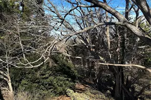 16 Mallory Ln, Arden, NC 28704 - Photo 23