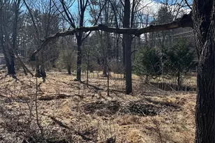 16 Mallory Ln, Arden, NC 28704 - Photo 33