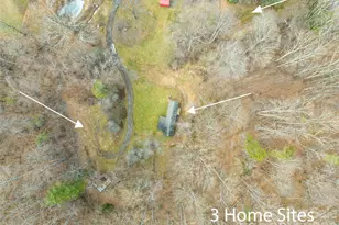 321 Shovel Creek Rd, Waynesville, NC 28786 - Photo 21