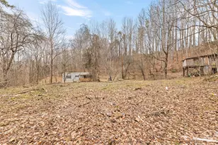 321 Shovel Creek Rd, Waynesville, NC 28786 - Photo 27