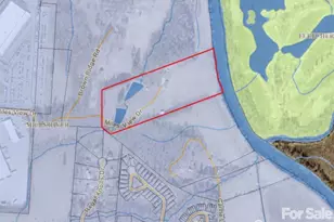 598 Miles View Rd, Mills River, NC 28759 - Photo 23