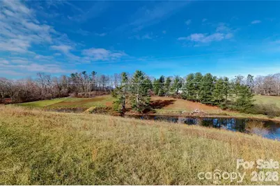 598 Miles View Road, Mills River, NC 28759 - Photo 21