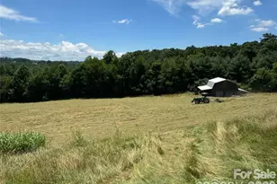 598 Miles View Rd, Mills River, NC 28759 - Photo 9