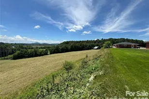 598 Miles View Rd, Mills River, NC 28759 - Photo 7