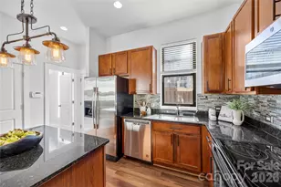 530 Steel Gardens Blvd, Charlotte, NC 28205 - Photo 9