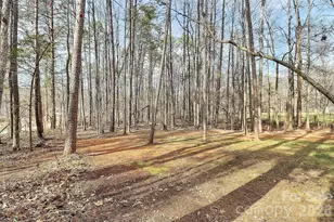 8591 Bartlett Rd, Mint Hill, NC 28227 - Photo 37