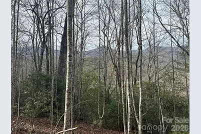 Lot 10, 11 River Run Run, Franklin, NC 28734 - Photo 5