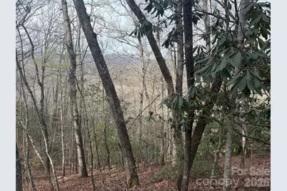 Lot 10, 11 River Run Run, Franklin, NC 28734 - Photo 7