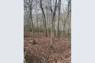 Lot 10, 11 River Run Run, Franklin, NC 28734 - Photo 9