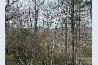 Lot 10, 11 River Run Run, Franklin, NC 28734 - Photo 3