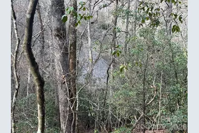 Lot 10, 11 River Run Run, Franklin, NC 28734 - Photo 13