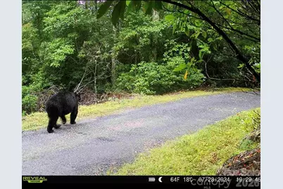 7039 Joe Bowman Avenue, Newland, NC 28657 - Photo 35