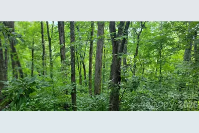 445 Allison Drive, Maggie Valley, NC 28751 - Photo 7