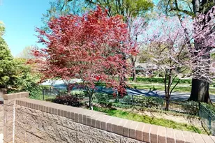 420 Queens Rd, Charlotte, NC 28207 - Photo 17